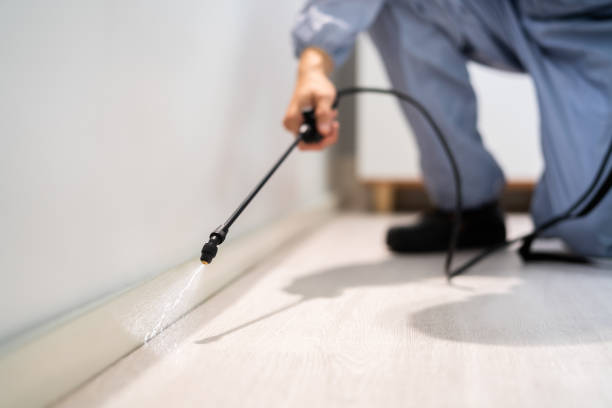 Licensed Termite Control service in Frederick County County, MD - Nex Pest Control
