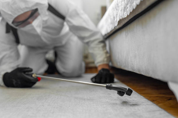 Professional Termite Control technician working in Frederick County County, MD